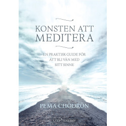 Konsten att meditera