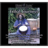 Tribal Journeys