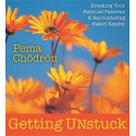 Getting Unstuck Breaking Your Habitual Patterns & Encountering Naked Reality