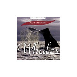 Whales