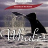 Whales