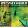 Meditative Rainforest