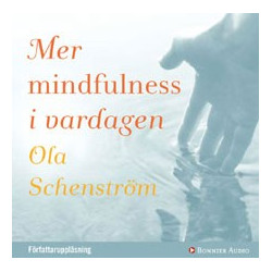 Mer mindfulness i vardagen