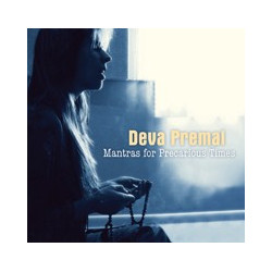 Mantras for Precarious Times CD