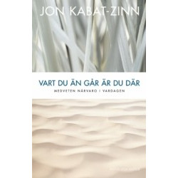 Vart du än går är du där : medveten närvaro i vardagen